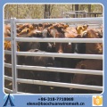 Personalizado de alta qualidade e força Square / Redondo / Oval Tubes Style Cattle Fence